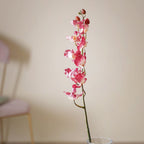 Floral Stem Nestasia