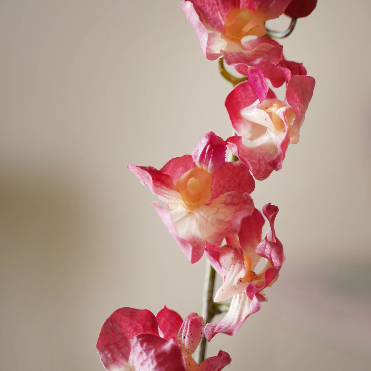 Floral Stem Nestasia