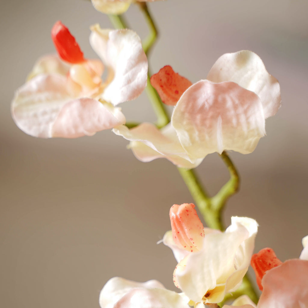 Floral Stem Nestasia