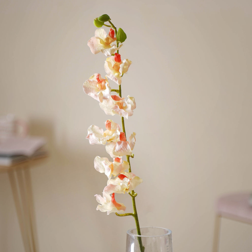 Floral Stem Nestasia
