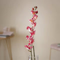 Floral Stem Nestasia