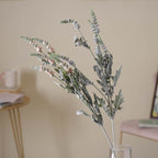 Tall Leaf And Flower Branch Nestasia