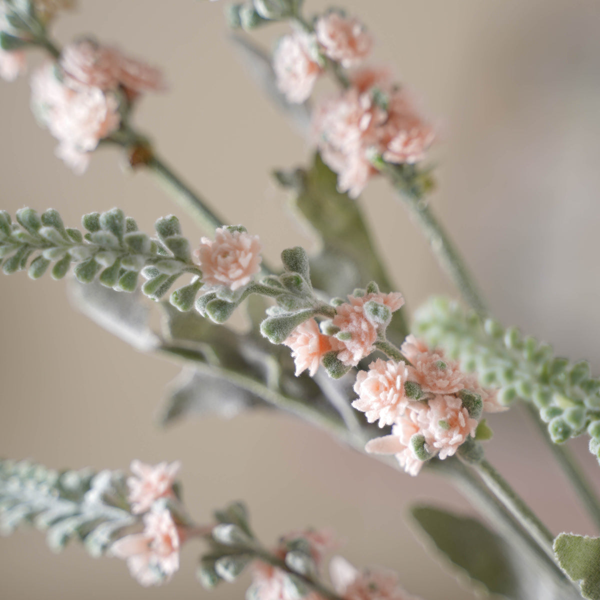 Tall Leaf And Flower Branch Nestasia