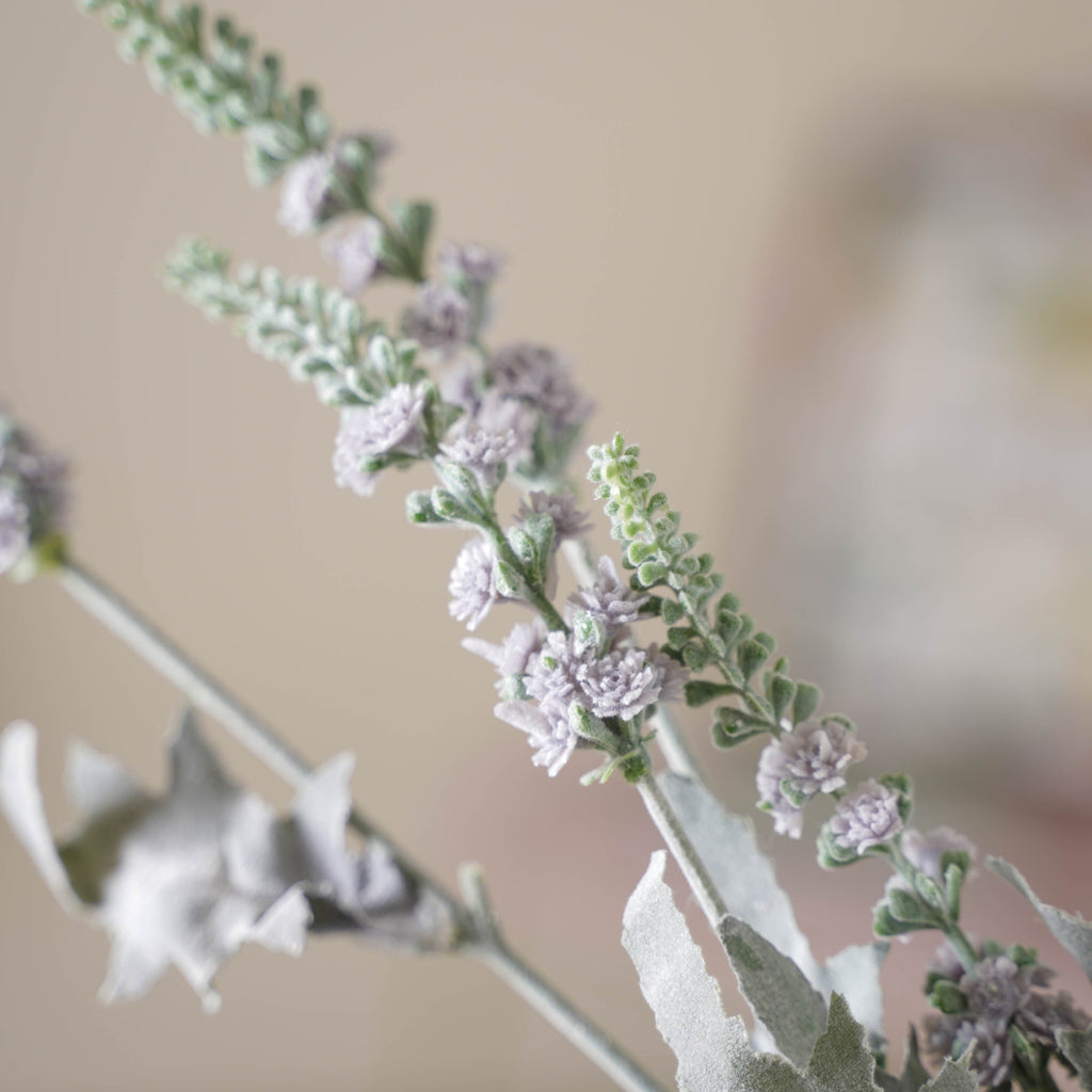 Tall Leaf And Flower Branch Nestasia
