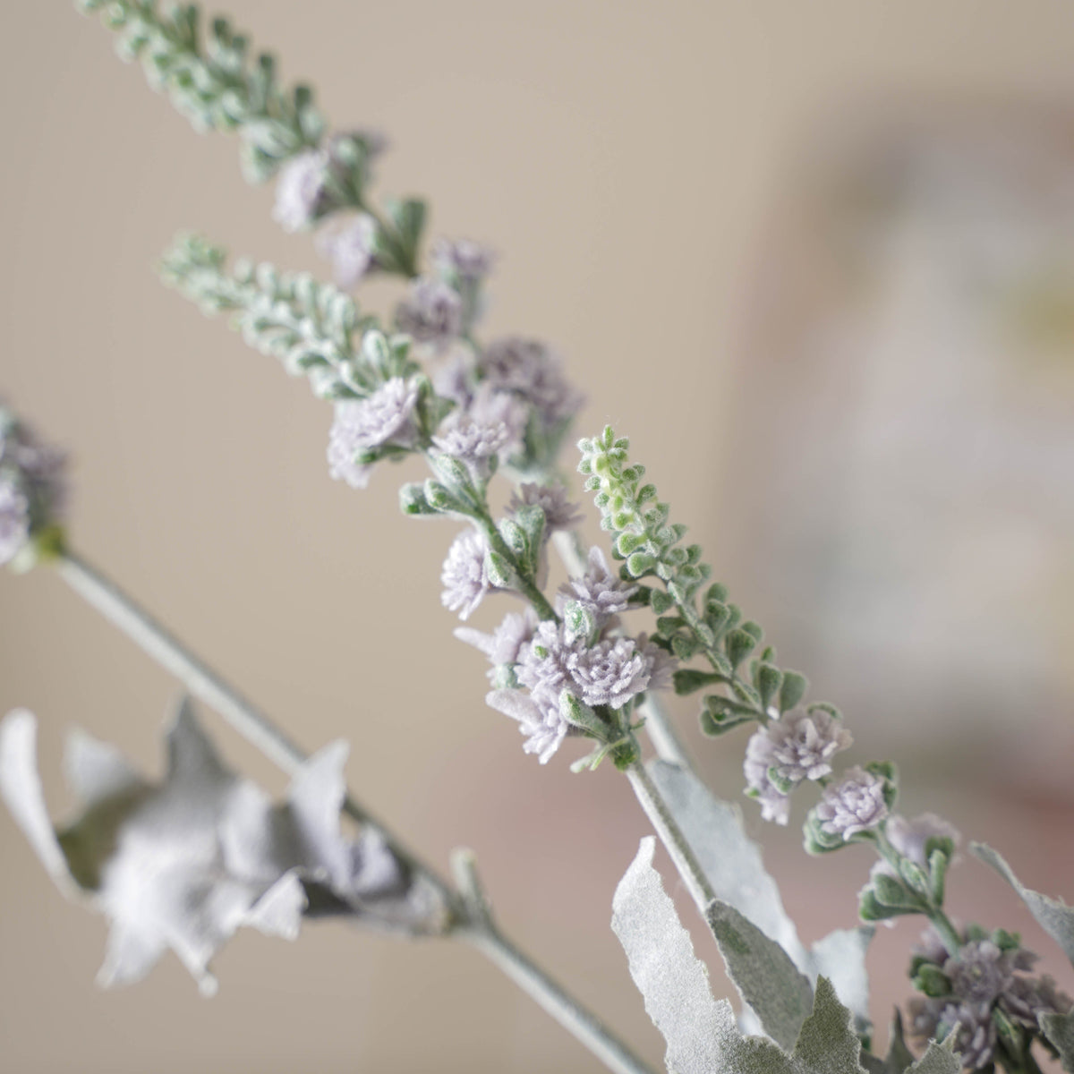 Tall Leaf And Flower Branch Nestasia