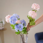 Hydrangea Flower Stem Nestasia