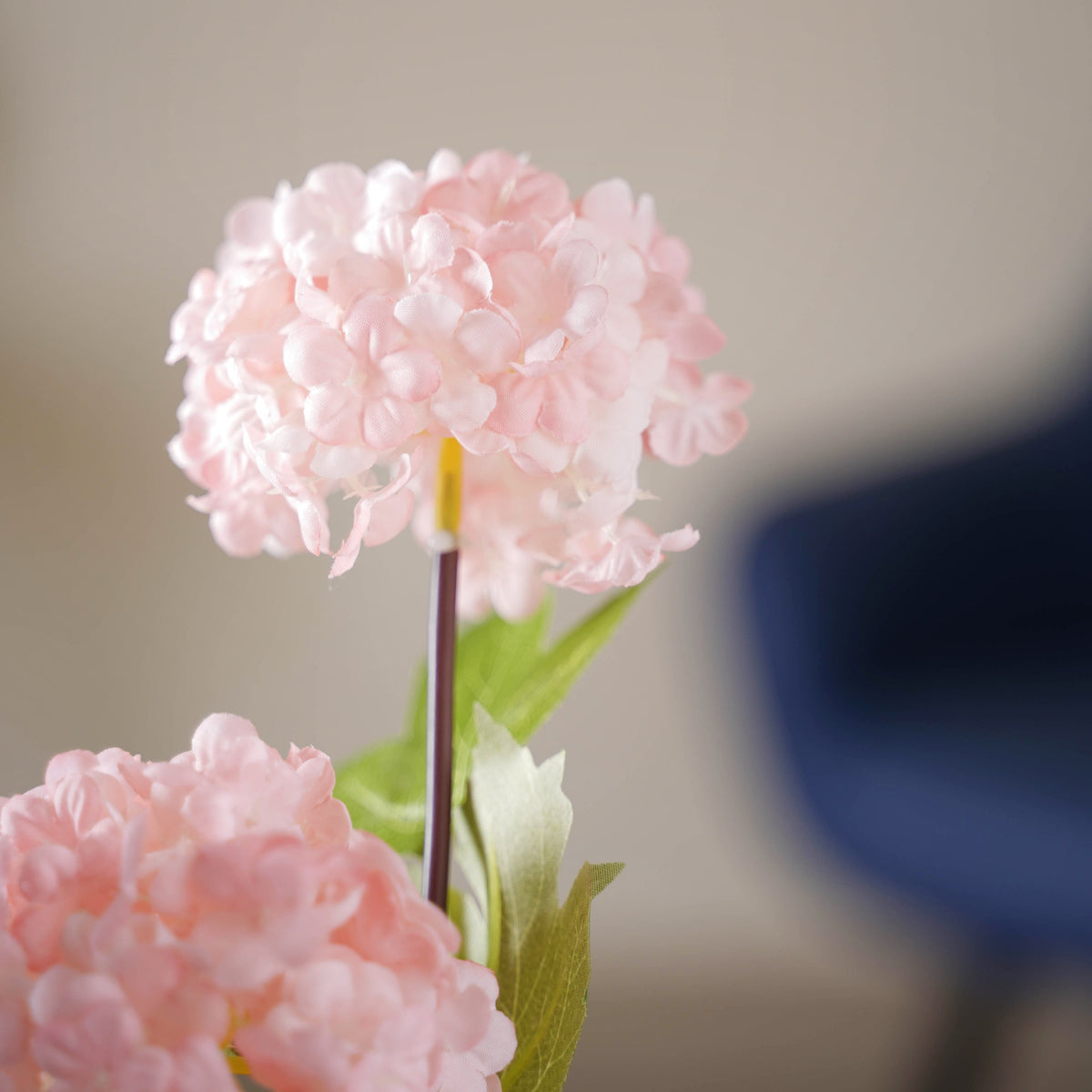 Hydrangea Flower Stem Nestasia