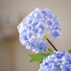 Hydrangea Flower Stem Nestasia