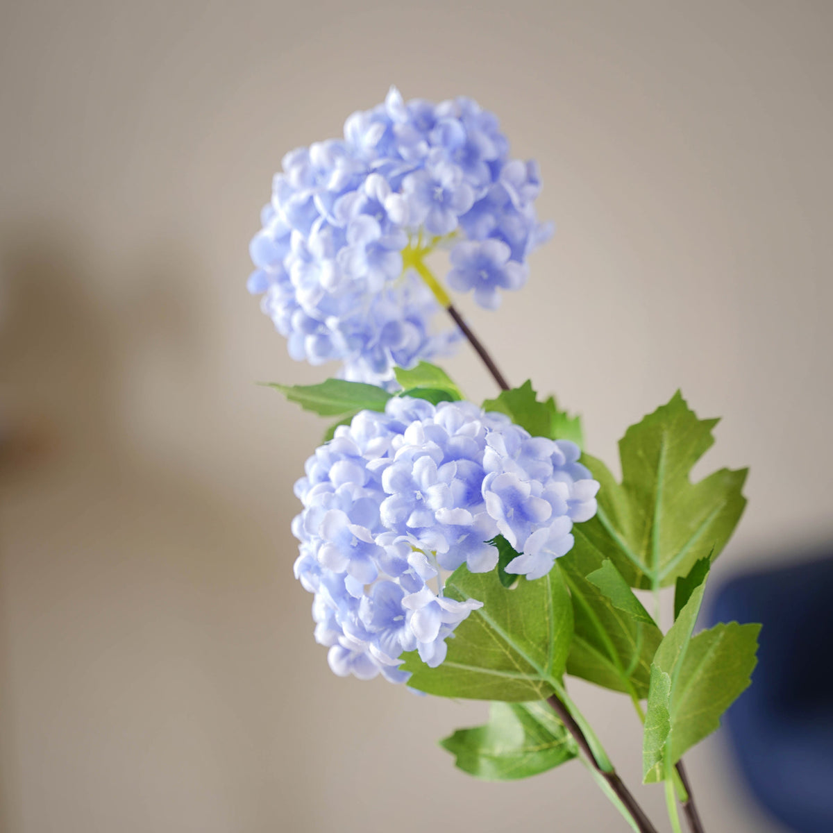 Hydrangea Flower Stem Nestasia