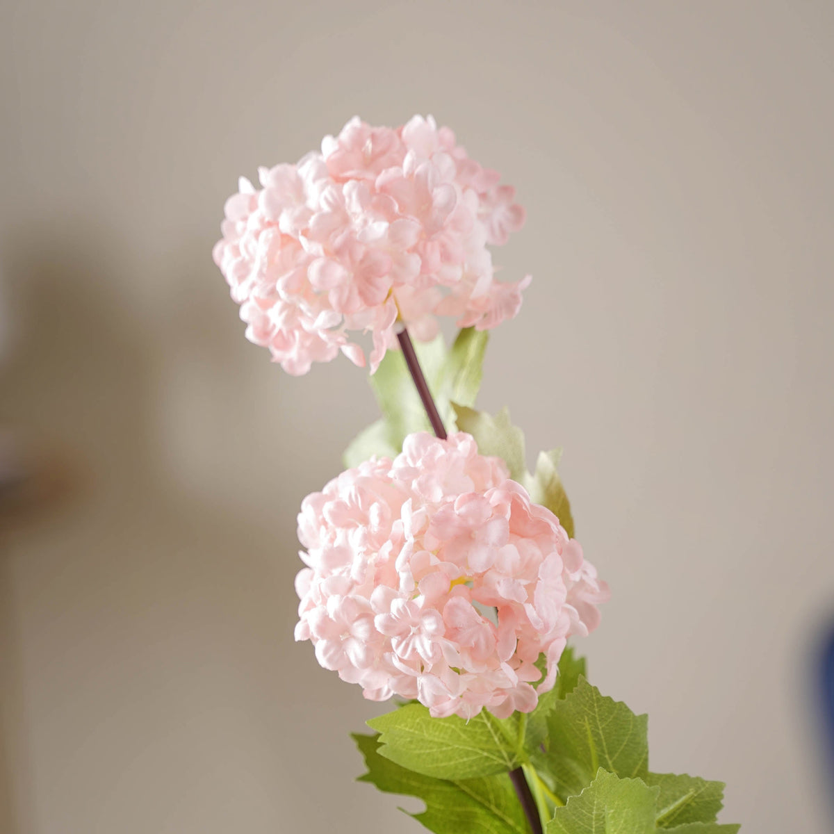 Hydrangea Flower Stem Nestasia