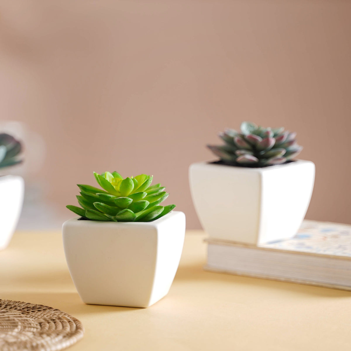 Faux Succulent Plant Nestasia