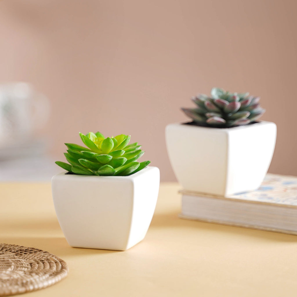 Faux Succulent Plant Nestasia