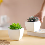 Faux Succulent Plant Nestasia