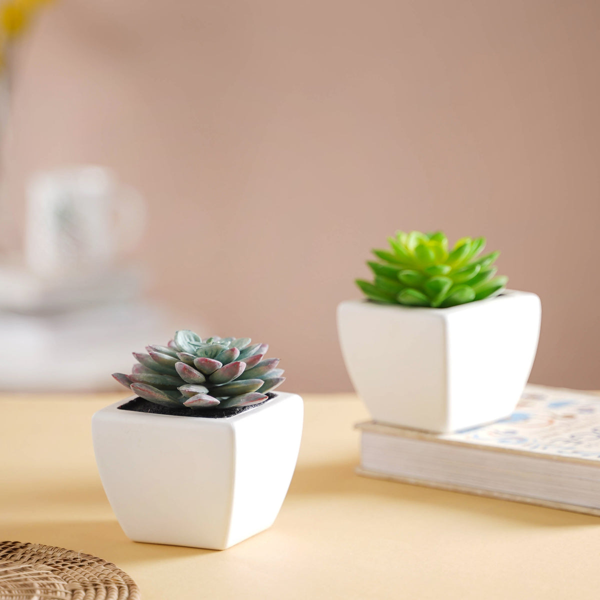 Faux Succulent Plant Nestasia
