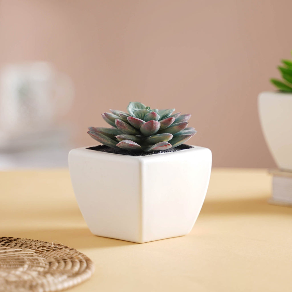 Faux Succulent Plant Nestasia