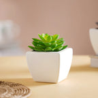 Faux Succulent Plant Nestasia