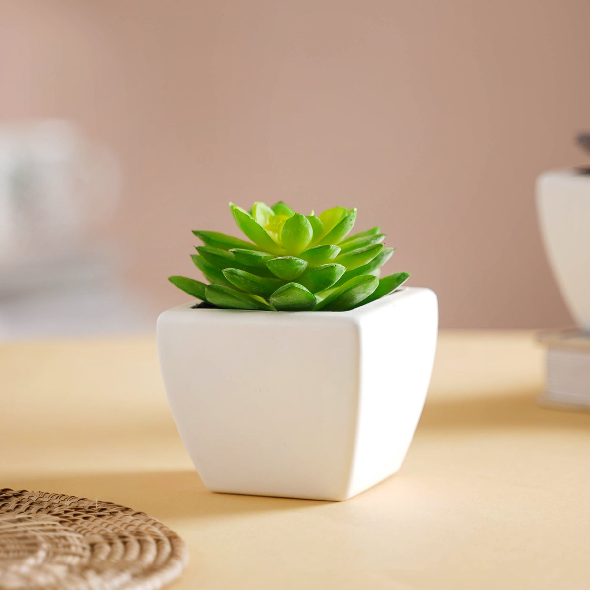 Faux Succulent Plant Nestasia