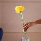 Silk Flower Blossom Nestasia