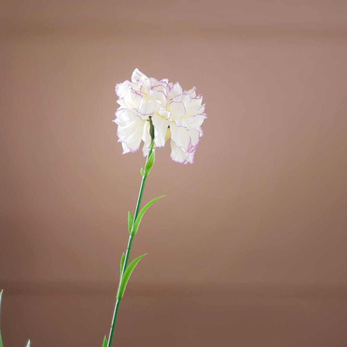 Silk Bloom Stick Nestasia