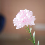 Silk Bloom Stick Nestasia