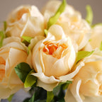 Aesthetic Roses Nestasia