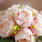 Aesthetic Roses Nestasia