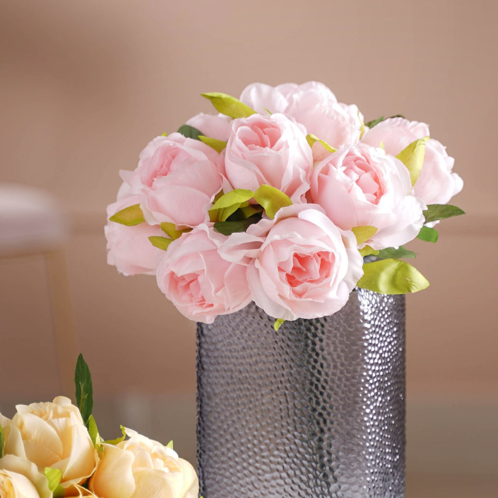 Aesthetic Roses Nestasia
