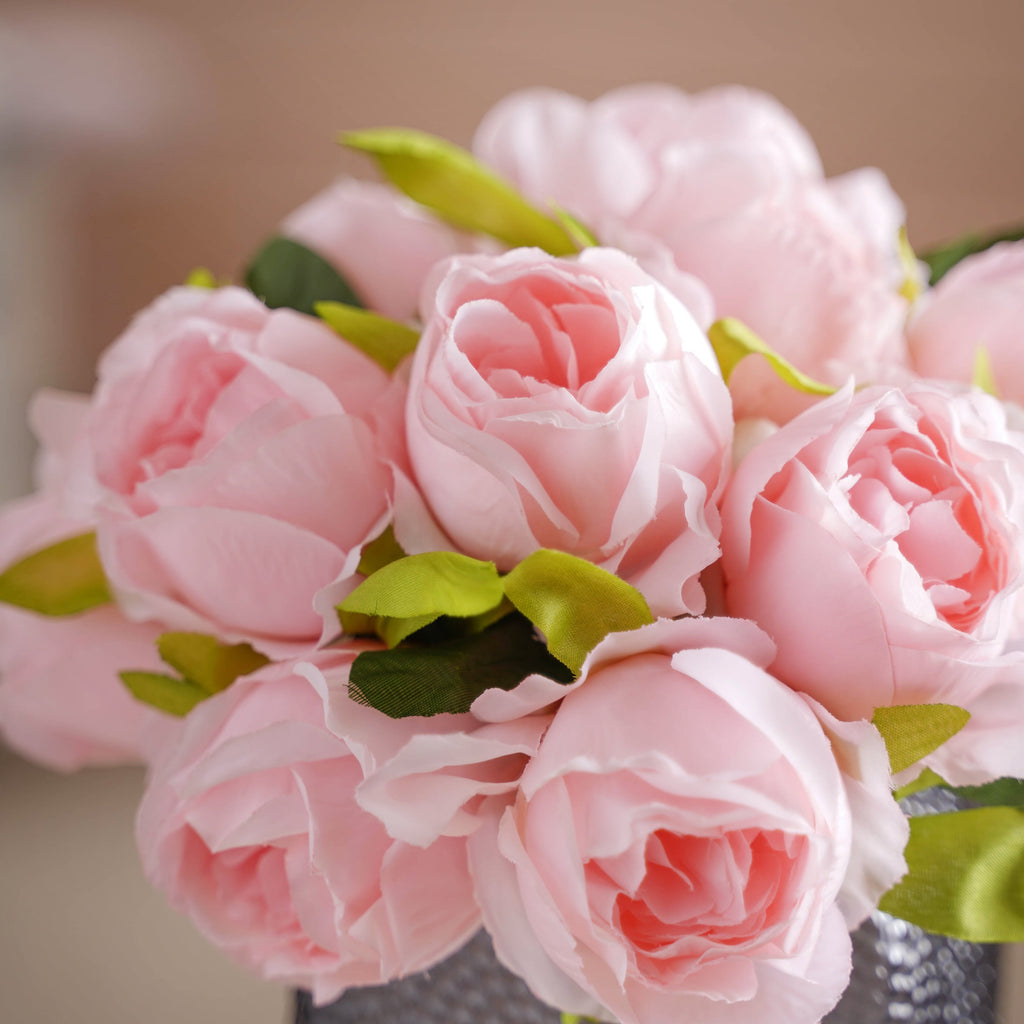 Aesthetic Roses Nestasia