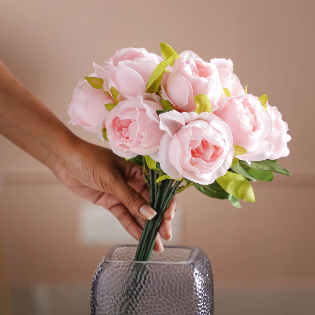 Aesthetic Roses Nestasia