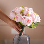 Aesthetic Roses Nestasia