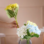 Hydrangea Blossom Nestasia