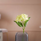 Hydrangea Blossom Nestasia