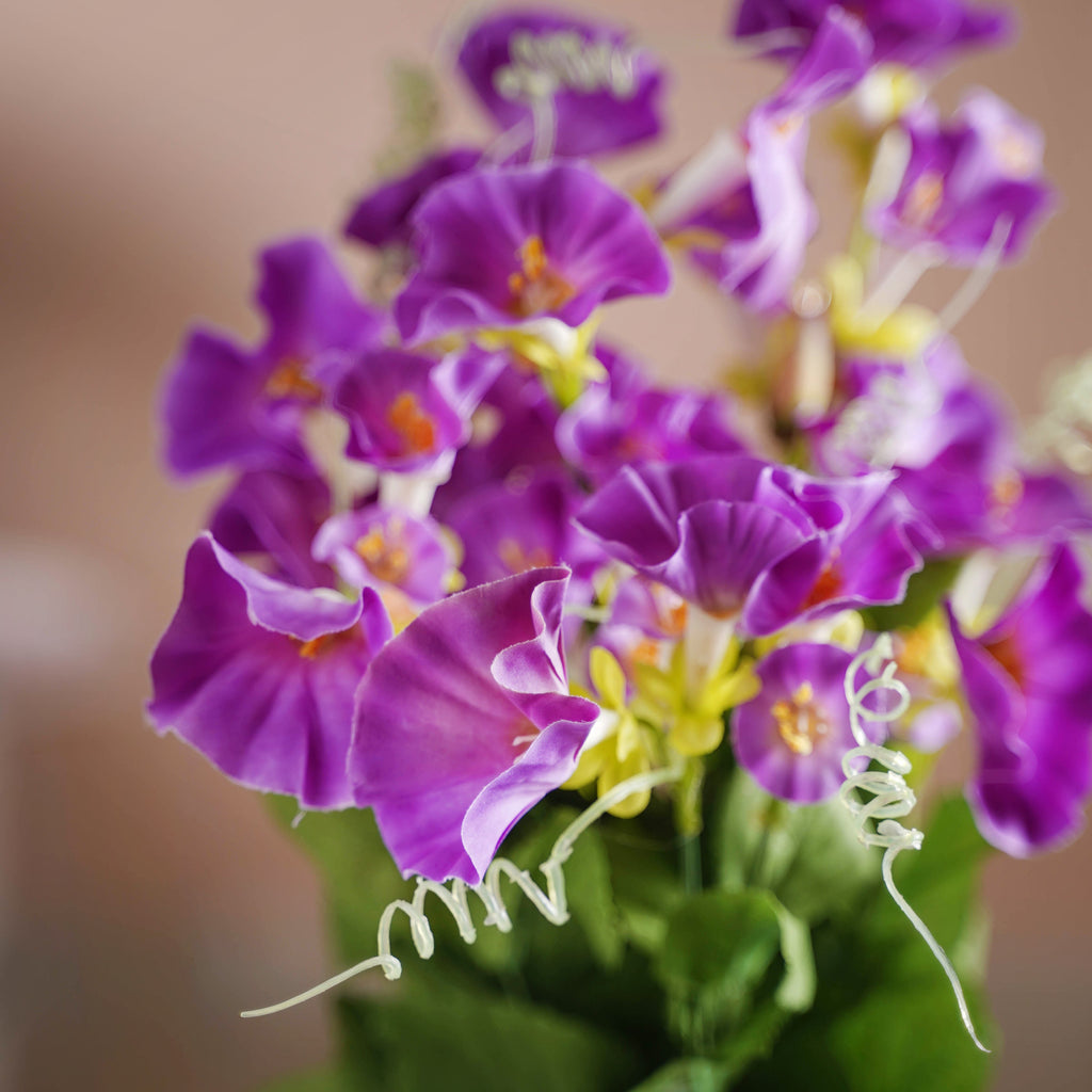 Colorful Flowers Nestasia