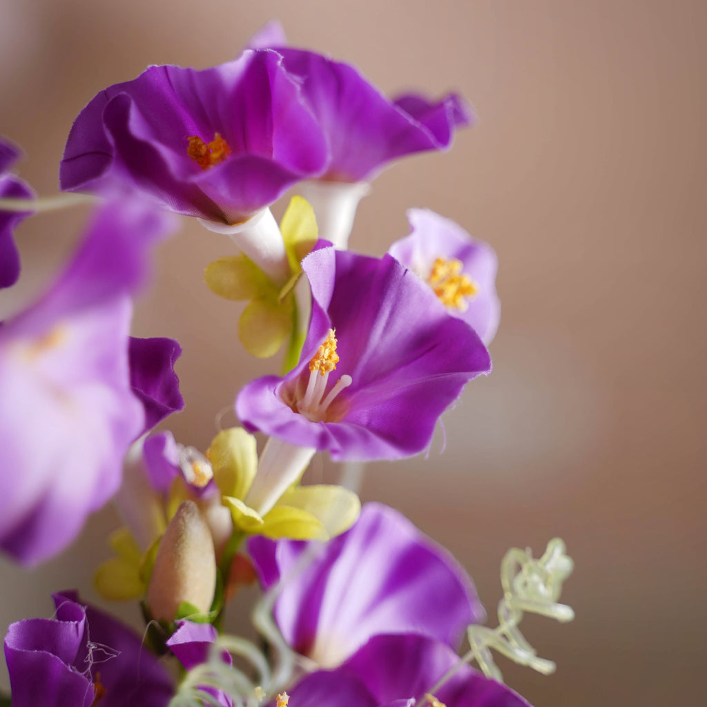 Colorful Flowers Nestasia