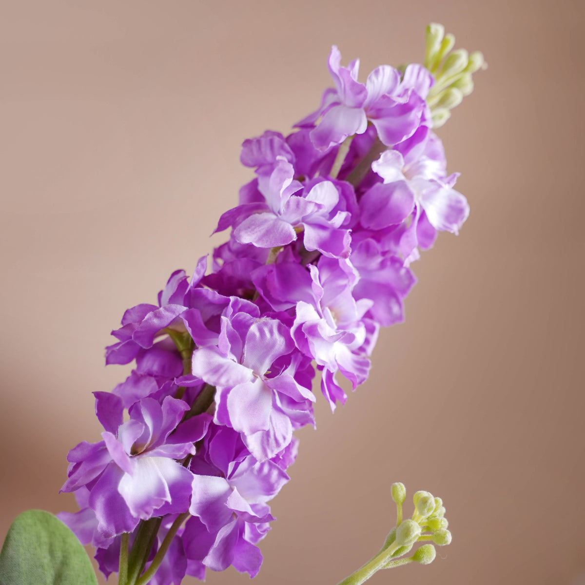 Colorful Flowers Nestasia