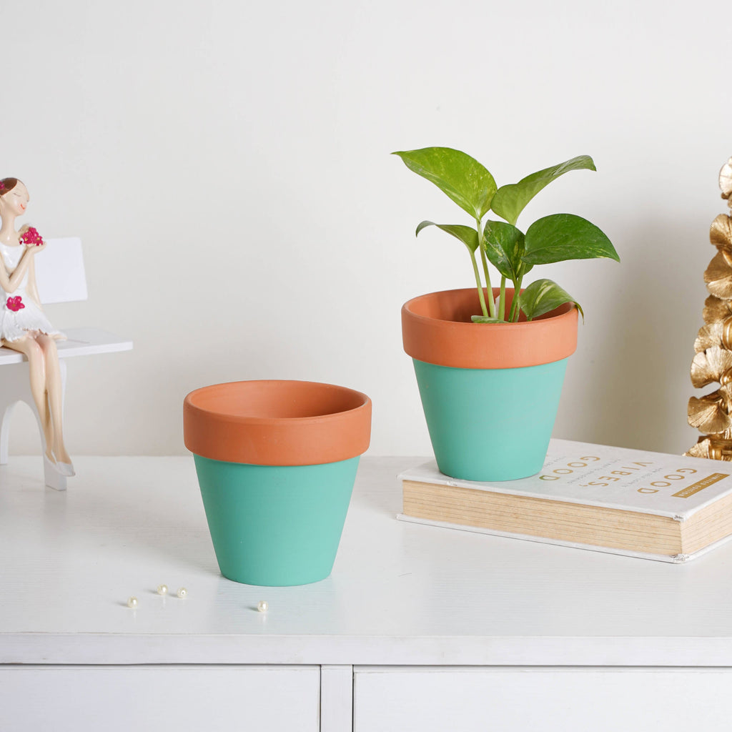 Brown Rim Green Clay Pot Set Of 2 Nestasia