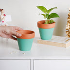 Brown Rim Green Clay Pot Set Of 2 Nestasia
