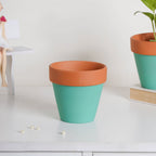 Brown Rim Green Clay Pot Set Of 2 Nestasia