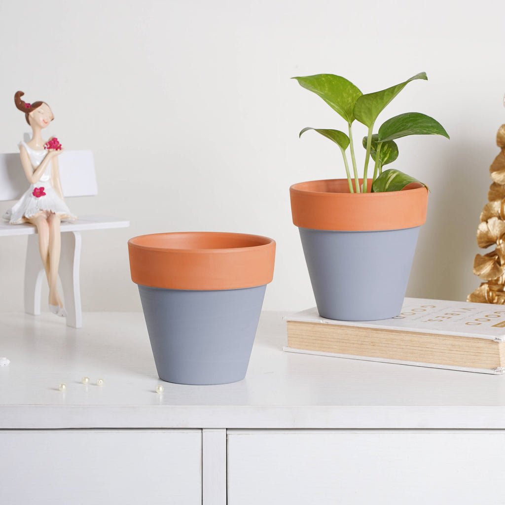 Brown Rim Grey Clay Pot Set Of 2 Nestasia