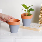 Brown Rim Grey Clay Pot Set Of 2 Nestasia