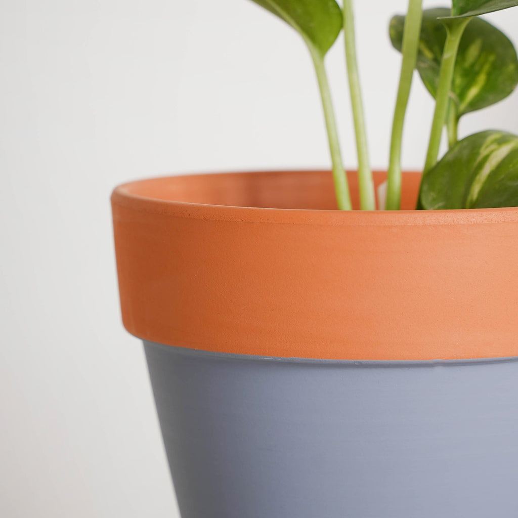 Brown Rim Grey Clay Pot Set Of 2 Nestasia