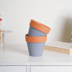 Brown Rim Grey Clay Pot Set Of 2 Nestasia