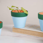 Green Rim Sky Blue Mini Pot Set Of 4 Nestasia