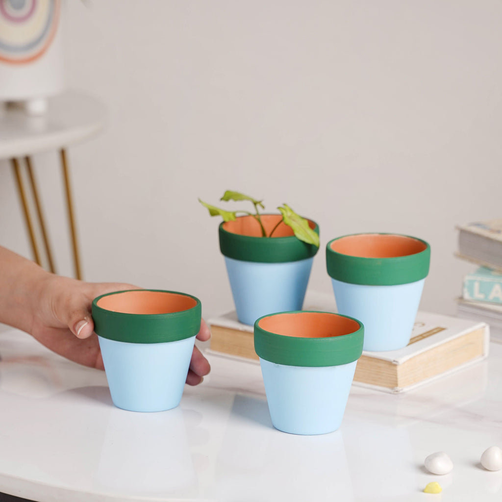 Green Rim Sky Blue Mini Pot Set Of 4 Nestasia