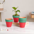 Green Rim Red Clay Pot Set Of 4 Nestasia