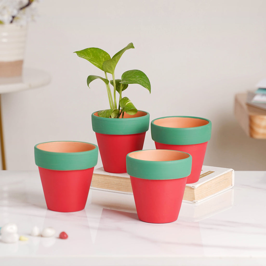 Green Rim Red Clay Pot Set Of 4 Nestasia