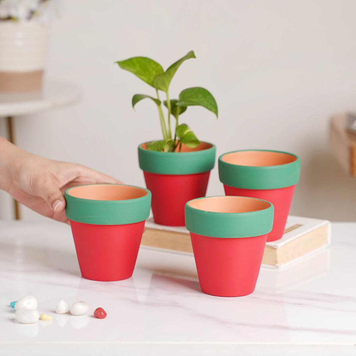 Green Rim Red Clay Pot Set Of 4 Nestasia