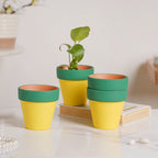 Green Rim Yellow Clay Pot Set Of 4 Nestasia