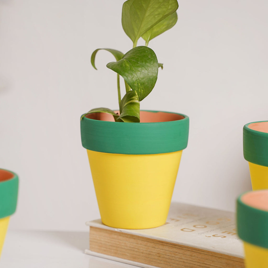 Green Rim Yellow Clay Pot Set Of 4 Nestasia