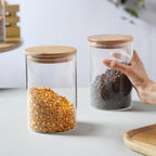 Airtight Storage Jar Set - Large Nestasia